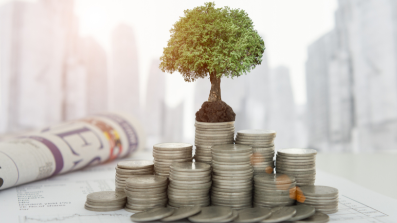 Descubra com Kelsem Ricardo Rios Lima as oportunidades e os riscos de investir em commodities.