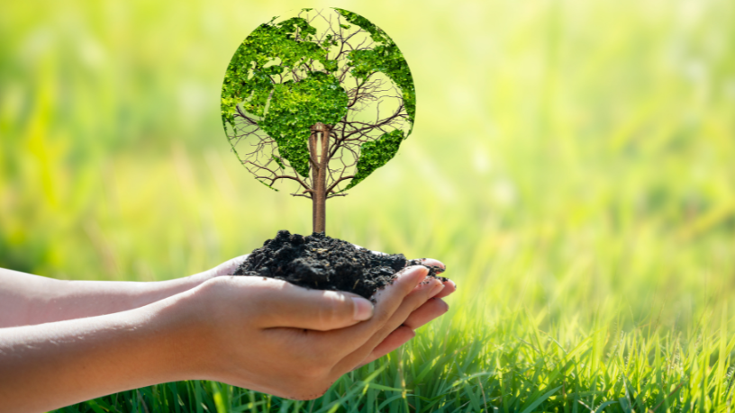 A presença de áreas verdes transforma o cotidiano urbano, destaca Diohn do Prado, promovendo saúde, bem-estar e sustentabilidade.