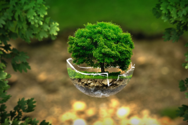 Diohn do Prado mostra como as áreas verdes urbanas elevam a qualidade de vida e fortalecem o equilíbrio ambiental nas cidades.