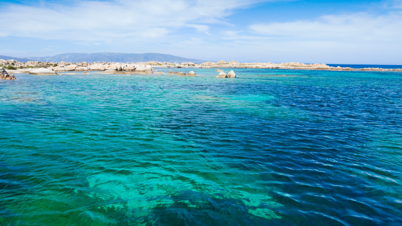 O mar e os projetos ambientais da Praia Do Forte destacados por Leonardo Rocha de Almeida.