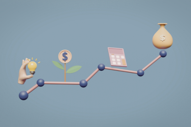 Organizar as finanças de uma empresa pequena com Renato de Castro Longo Furtado Vianna ajuda a entender os fundamentos essenciais.