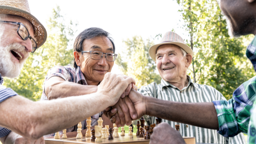 Sindnapi - Sindicato Nacional dos Aposentados, Pensionistas e Idosos