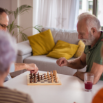 Sindnapi - Sindicato Nacional dos Aposentados, Pensionistas e Idosos