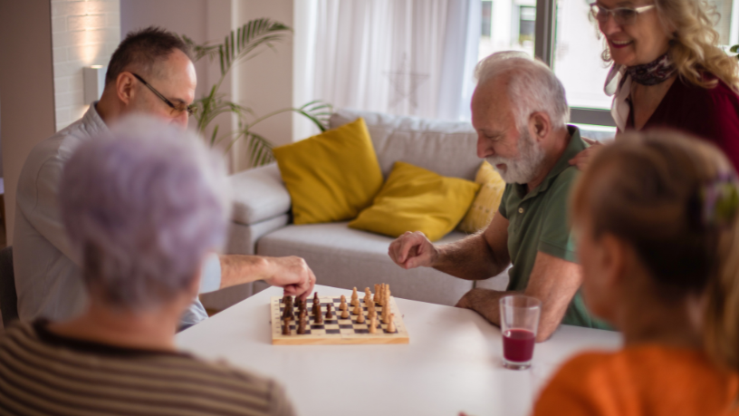 Sindnapi - Sindicato Nacional dos Aposentados, Pensionistas e Idosos