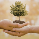 Versa Engenharia Ambiental Ltda