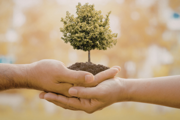 Versa Engenharia Ambiental Ltda