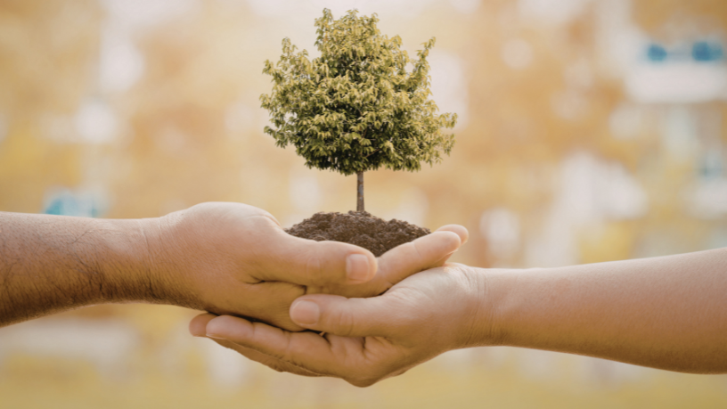 Versa Engenharia Ambiental Ltda