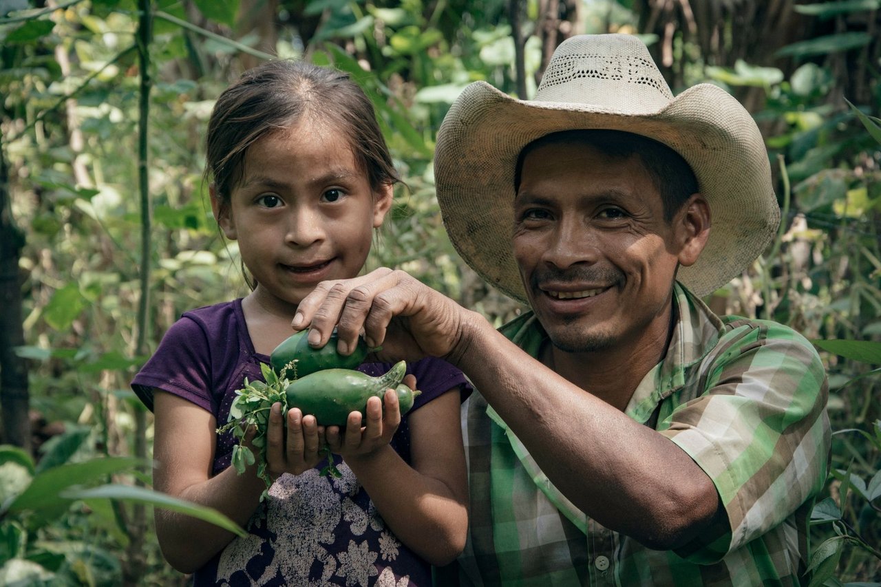 Pai e filha colhem hortaliças em uma área rural com vegetação abundante.